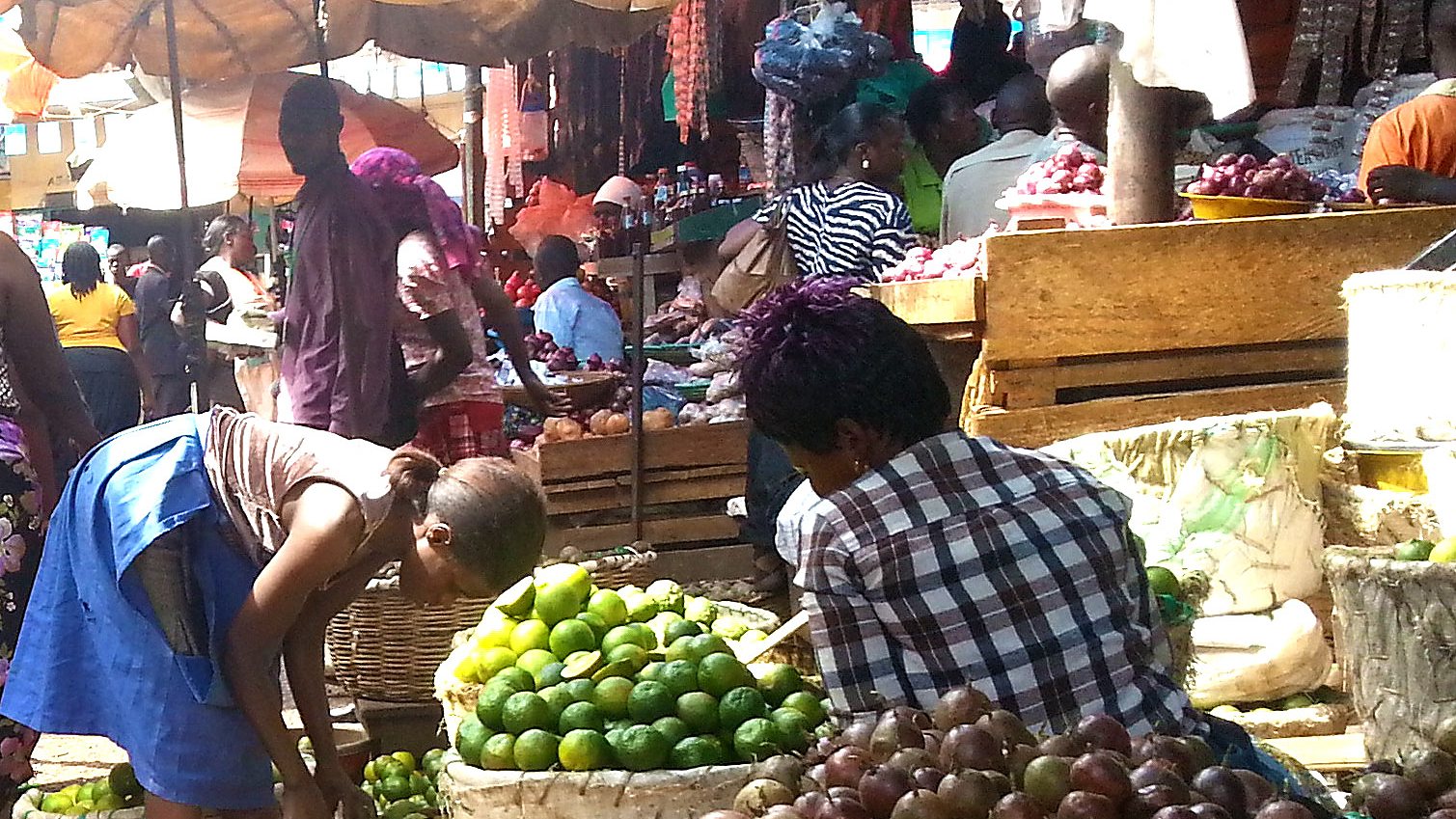 Covered produce stalls with tomatoes at Kalerwe Market, Kampala, Uganda