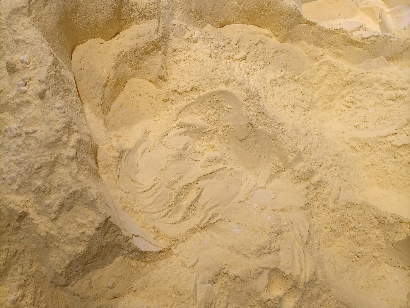 Close-up of dry maize flour