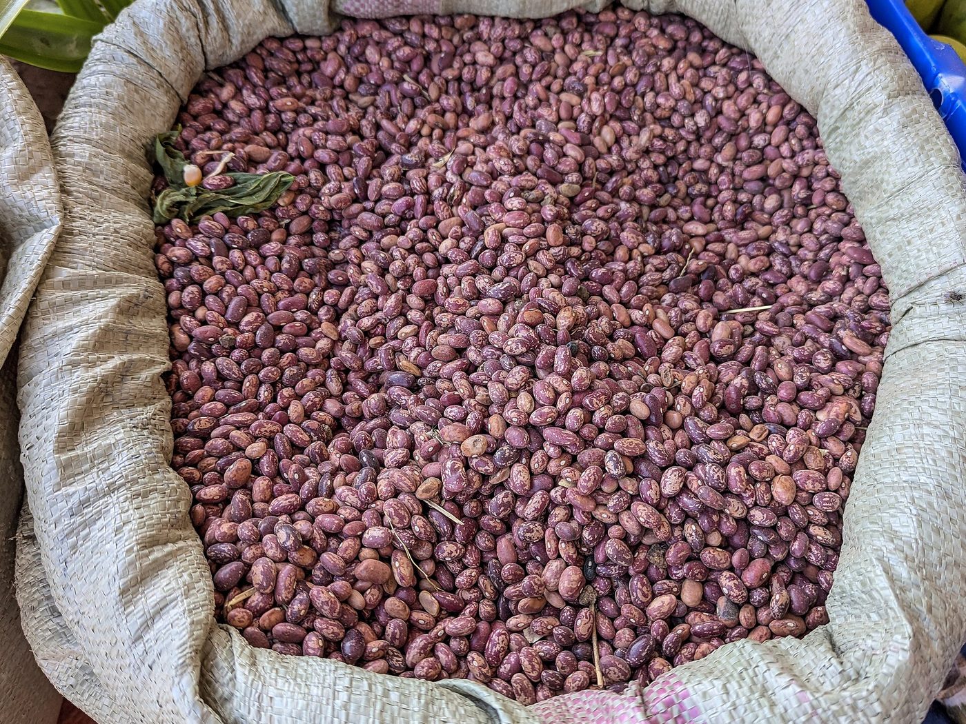 Speckled dry beans at a market in Uganda, used as a representative Rosecoco-type photograph