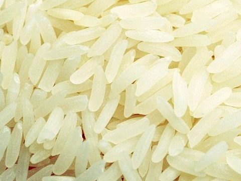 Milled white rice grains