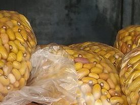 Yellow dry beans packed for sale in Uganda