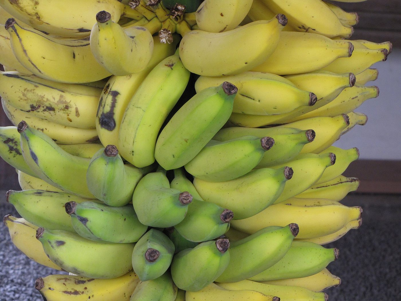 Apple banana bunch