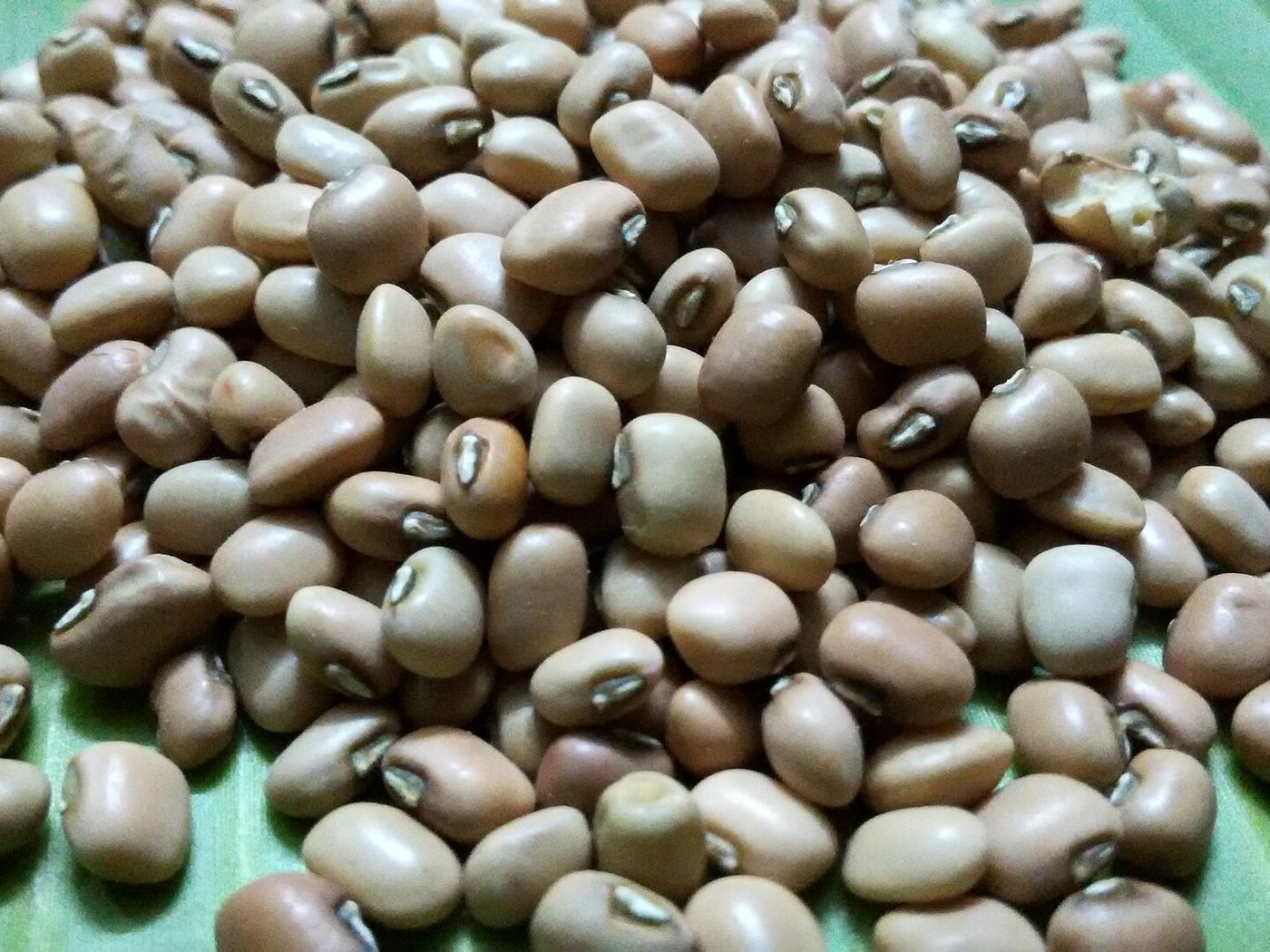 Dry cow peas