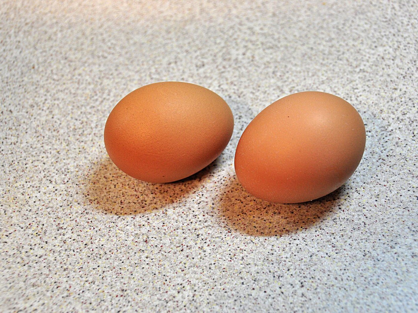 Brown chicken eggs