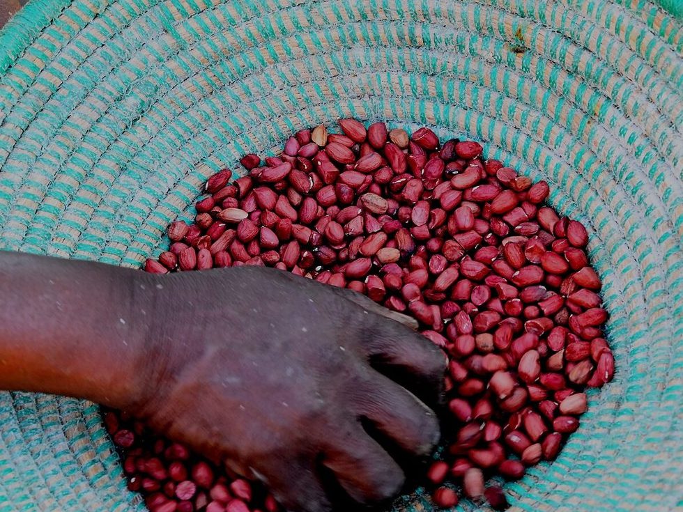 Raw groundnuts in a basket in Uganda